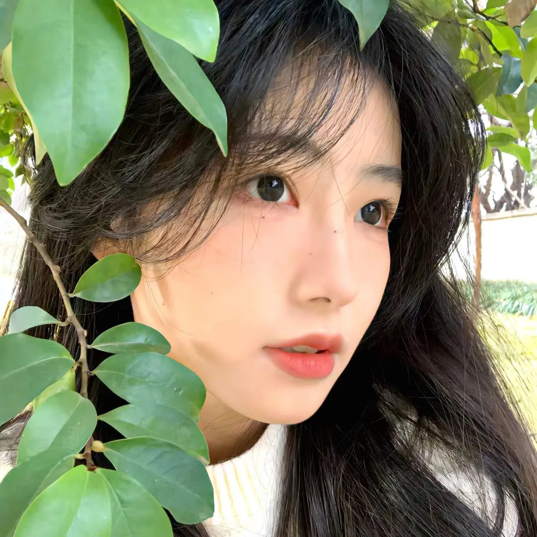 红粉舵爷
